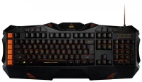 Клавиатура Canyon CND-SKB3-RU Fobos Black USB отзывы владельцев