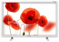 Телевизор TELEFUNKEN TF-LED24S21T2 отзывы владельцев