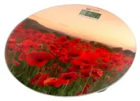 Напольные весы Home Element HE-SC908 отзывы владельцев