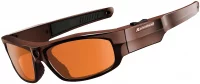 Камера Pivothead Durango Bronze отзывы владельцев