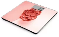 STARWIND SSP6041 отзывы