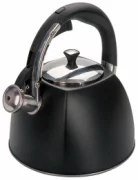 Чайник REGENT inox Linea TEA 93-TEA-31 3 л отзывы владельцев