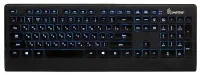 Клавиатура SmartBuy SBK-303U-K Black USB отзывы владельцев