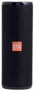Magic Acoustic Aria SK1017 отзывы владельцев