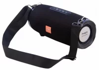 Magic Acoustic SK1022BK отзывы владельцев