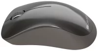 Мышь Canyon MW-911 отзывы владельцев