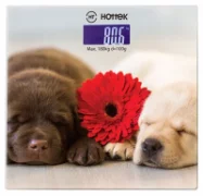 Напольные весы HOTTEK 962-016 отзывы владельцев