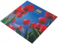 Напольные весы HOMESTAR HS-6001I отзывы владельцев