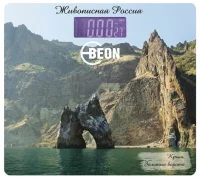 Напольные весы Beon BN-1111 отзывы владельцев