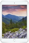 Планшет APPLE iPad Mini 3 Wi-Fi 16Gb отзывы владельцев