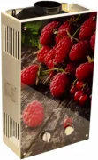 Водонагреватель WertRus 10EG Berry отзывы владельцев