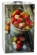 Водонагреватель Lenz Technic 10L BERRY отзывы владельцев