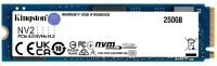 SSD Kingston SNV2S/250G отзывы владельцев