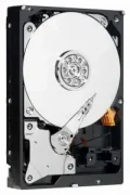 Жесткий диск Western Digital Caviar Green (WD20EZRX) отзывы владельцев