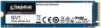 SSD Kingston NV1 SNVS/500G отзывы владельцев