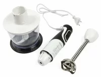 Блендер Rolsen SM-600MC отзывы владельцев
