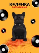 Dog-Buldog CH-M10 отзывы владельцев