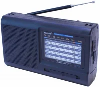 Радиоприемник GOLONE RX-3040 отзывы владельцев