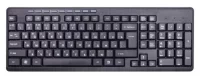 Клавиатура Ritmix RKB-255W Black USB отзывы владельцев