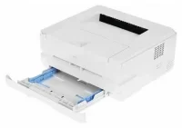 Принтер Deli Laser P2500DW отзывы владельцев