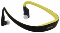SmartBuy Sport Pro отзывы владельцев