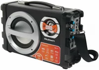 Rolsen RBM-311 отзывы владельцев
