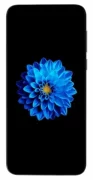 Смартфон Prestigio X Pro отзывы владельцев