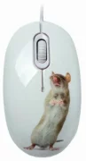 Мышь CBR Capture White USB отзывы владельцев