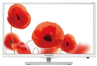 Телевизор TELEFUNKEN TF-LED24S38T2 отзывы владельцев